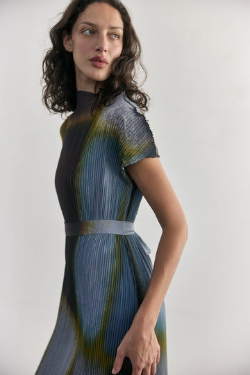 Pleated Printed Dress - Mix